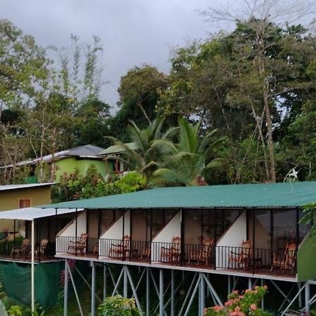 Hotel Cabinas Murillo Drake Bay Luaran gambar