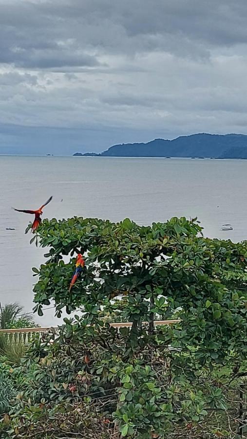 Hotel Cabinas Murillo Drake Bay Luaran gambar